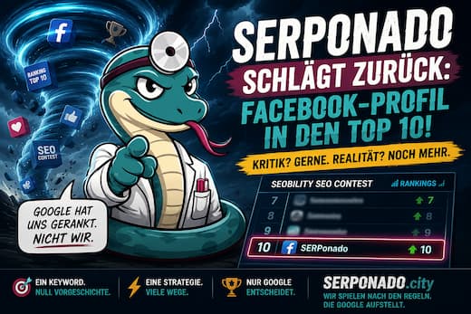 SERPonado unter Kritik